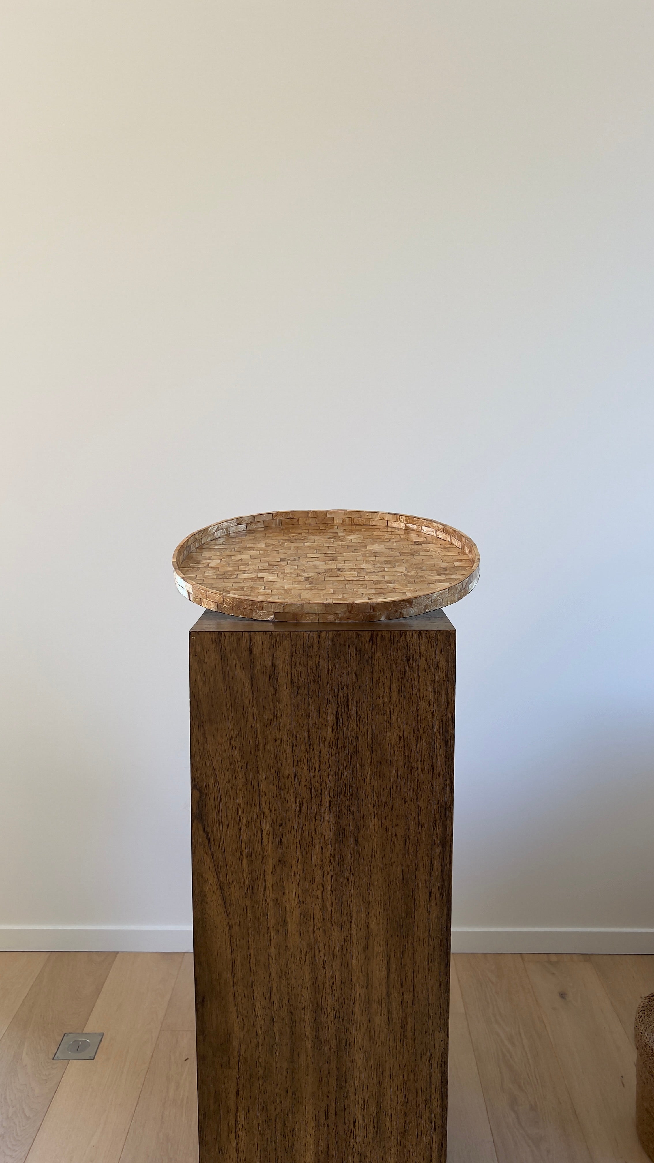 Concha Shell Tray